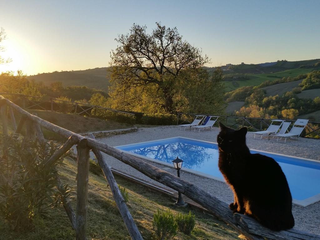Agriturismo Tre Querce Penna San Giovanni Kültér fotó